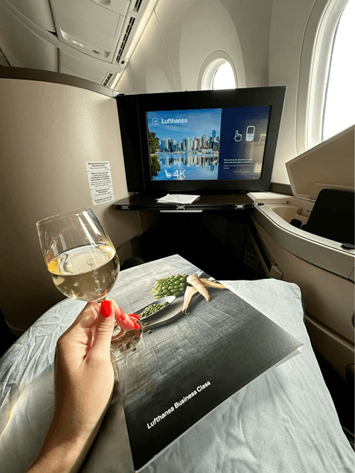 welcome business skies